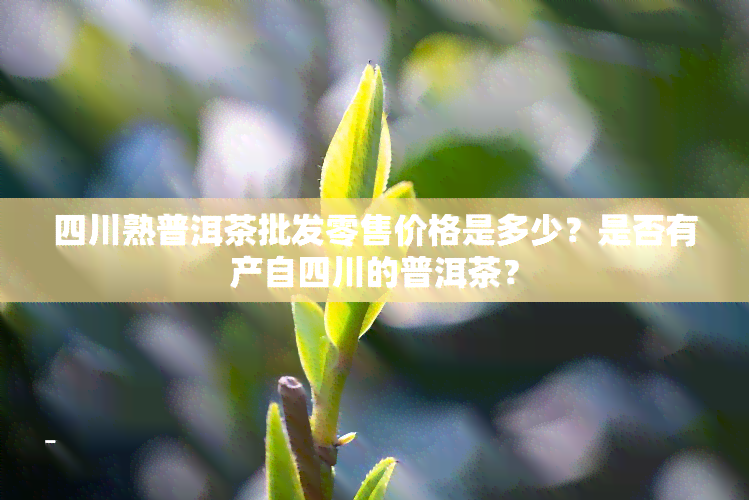 四川熟普洱茶批发零售价格是多少？是否有产自四川的普洱茶？