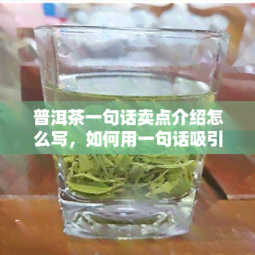 普洱茶一句话卖点介绍怎么写，如何用一句话吸引人购买普洱茶？