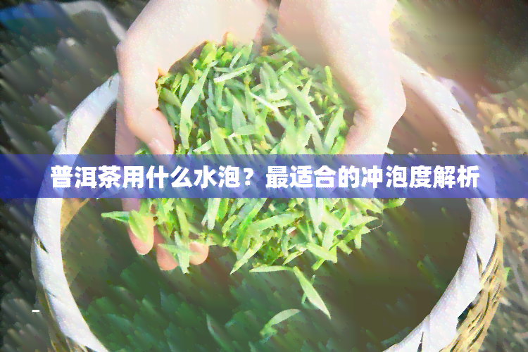 普洱茶用什么水泡？最适合的冲泡度解析