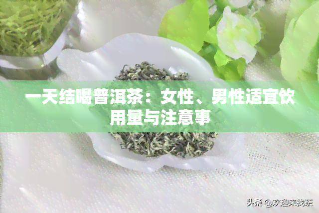 一天结喝普洱茶：女性、男性适宜饮用量与注意事