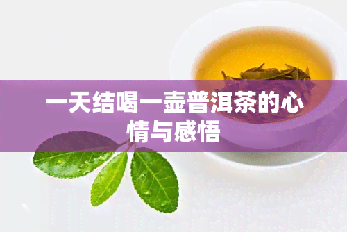 一天结喝一壶普洱茶的心情与感悟