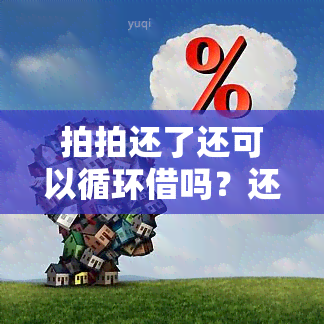 拍拍还了还可以循环借吗？还清后能否立即再次借款？