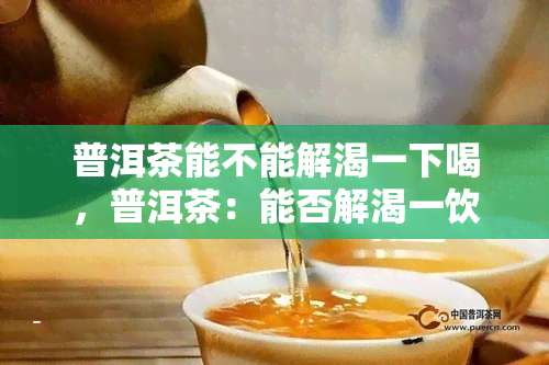 普洱茶能不能解渴一下喝，普洱茶：能否解渴一饮而尽？