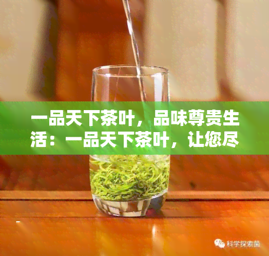 一品天下茶叶，品味尊贵生活：一品天下茶叶，让您尽享茶香世界