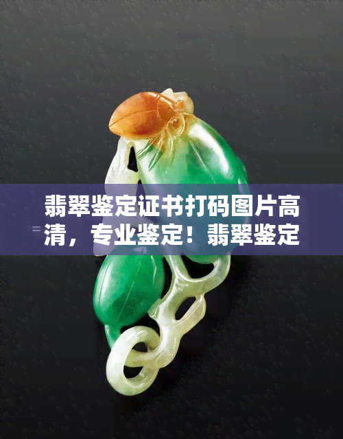 翡翠鉴定证书打码图片高清，专业鉴定！翡翠鉴定证书高清打码图片分享