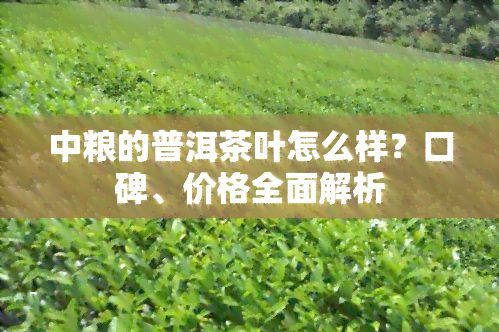 中粮的普洱茶叶怎么样？口碑、价格全面解析