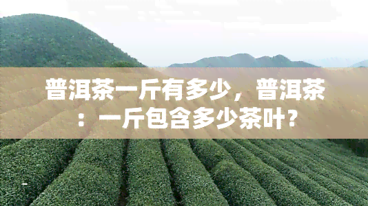 普洱茶一斤有多少，普洱茶：一斤包含多少茶叶？