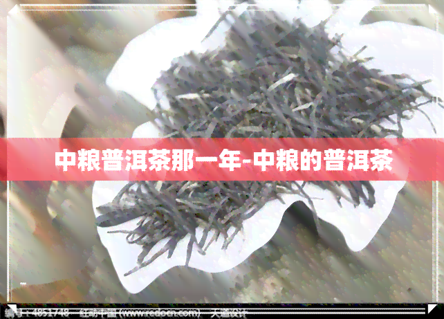 中粮普洱茶那一年-中粮的普洱茶