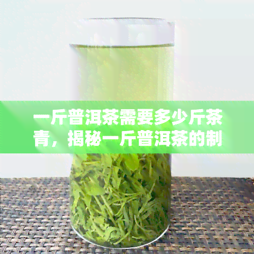 一斤普洱茶需要多少斤茶青，揭秘一斤普洱茶的制作过程：需要多少斤嫩茶青？