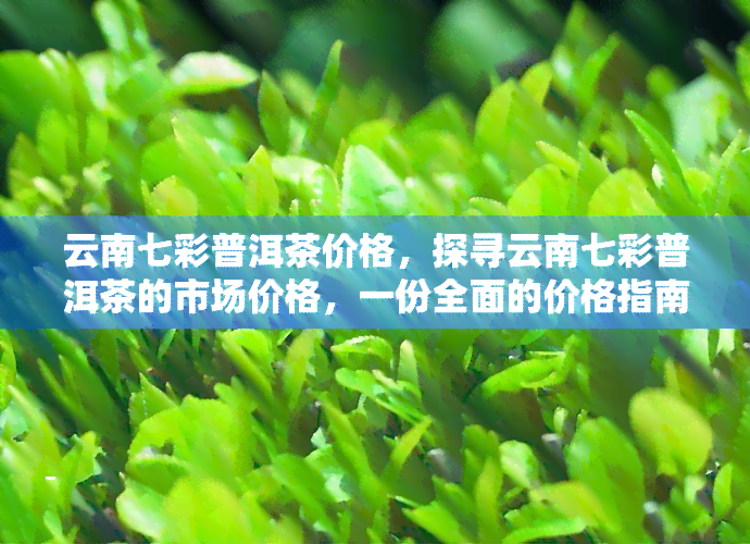 云南七彩普洱茶价格，探寻云南七彩普洱茶的市场价格，一份全面的价格指南