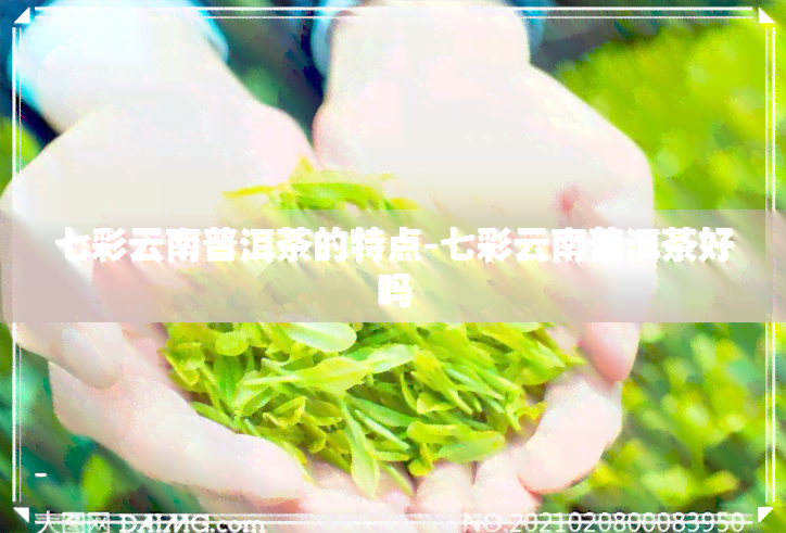 七彩云南普洱茶的特点-七彩云南普洱茶好吗