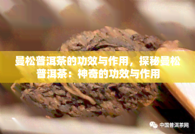 曼松普洱茶的功效与作用，探秘曼松普洱茶：神奇的功效与作用