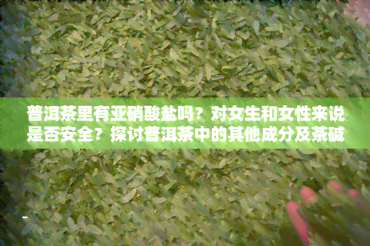 普洱茶里有亚硝酸盐吗？对女生和女性来说是否安全？探讨普洱茶中的其他成分及茶碱含量