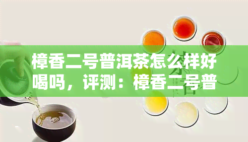 樟香二号普洱茶怎么样好喝吗，评测：樟香二号普洱茶，口感如何？值得尝试吗？