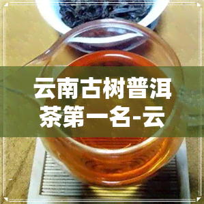 云南古树普洱茶之一名-云南古树普洱茶排名