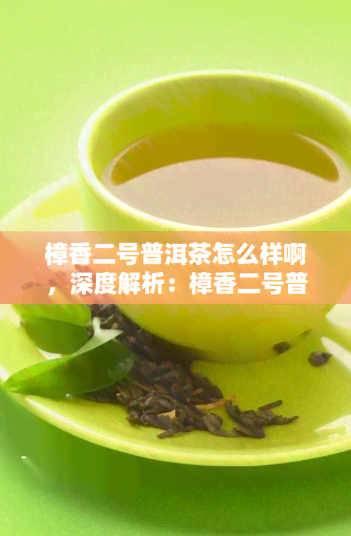 樟香二号普洱茶怎么样啊，深度解析：樟香二号普洱茶的口感与品质