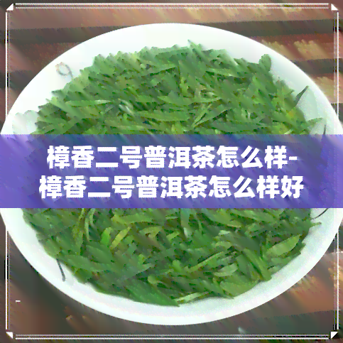 樟香二号普洱茶怎么样-樟香二号普洱茶怎么样好喝吗