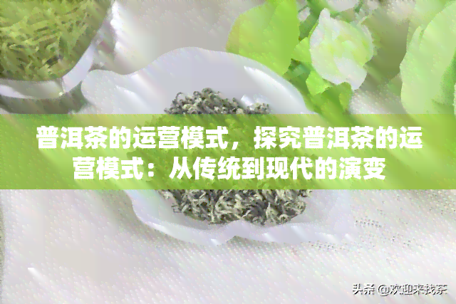 普洱茶的运营模式，探究普洱茶的运营模式：从传统到现代的演变