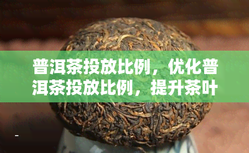 普洱茶投放比例，优化普洱茶投放比例，提升茶叶品质与口感