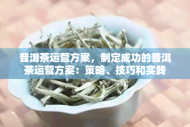 普洱茶运营方案，制定成功的普洱茶运营方案：策略、技巧和实践