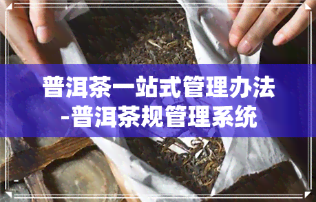 普洱茶一站式管理办法-普洱茶规管理系统