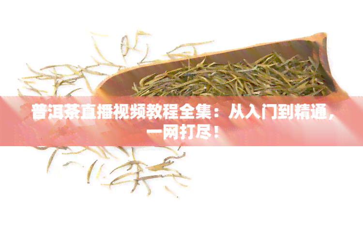 普洱茶直播视频教程全集：从入门到精通，一网打尽！