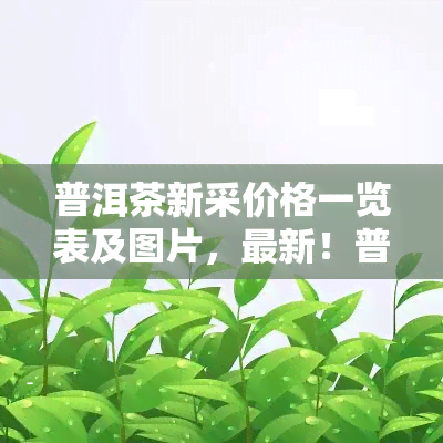 普洱茶新采价格一览表及图片，最新！普洱茶新采价格一览表及高清图片全览