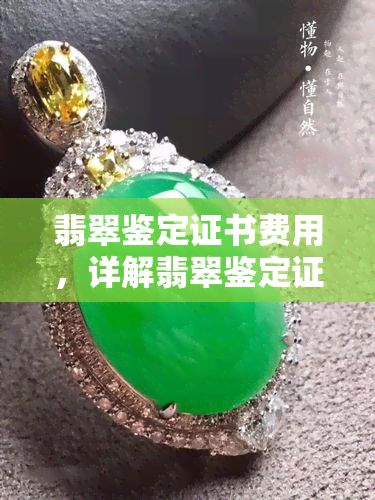 翡翠鉴定证书费用，详解翡翠鉴定证书费用：你必须知道的费用明细