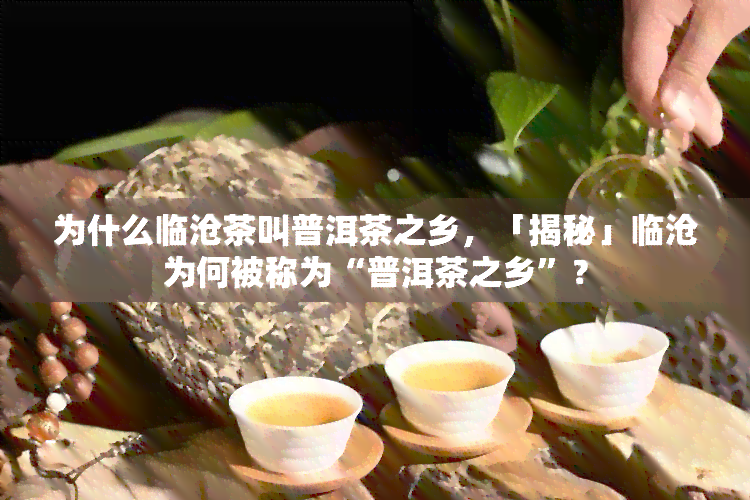 为什么临沧茶叫普洱茶之乡，「揭秘」临沧为何被称为“普洱茶之乡”？