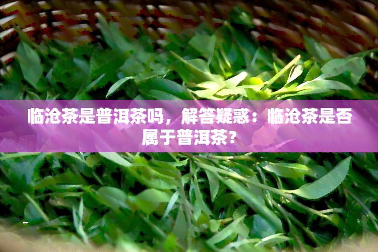 临沧茶是普洱茶吗，解答疑惑：临沧茶是否属于普洱茶？