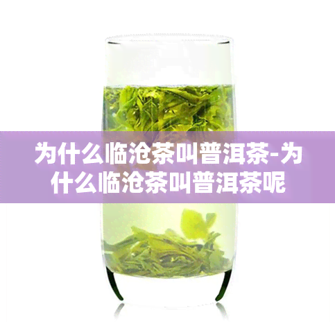 为什么临沧茶叫普洱茶-为什么临沧茶叫普洱茶呢