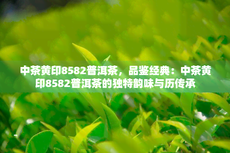 中茶黄印8582普洱茶，品鉴经典：中茶黄印8582普洱茶的独特韵味与历传承