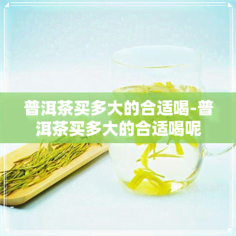 普洱茶买多大的合适喝-普洱茶买多大的合适喝呢