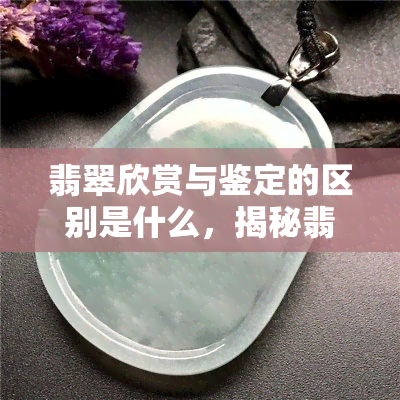 翡翠欣赏与鉴定的区别是什么，揭秘翡翠欣赏与鉴定的不同之处