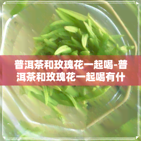 普洱茶和玫瑰花一起喝-普洱茶和玫瑰花一起喝有什么疗效