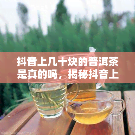 抖音上几十块的普洱茶是真的吗，揭秘抖音上的普洱茶：几十元的价格，真的可信吗？