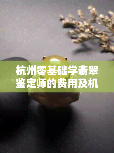 杭州零基础学翡翠鉴定师的费用及机构一览