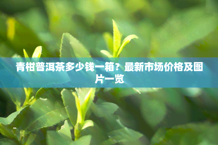 青柑普洱茶多少钱一箱？最新市场价格及图片一览