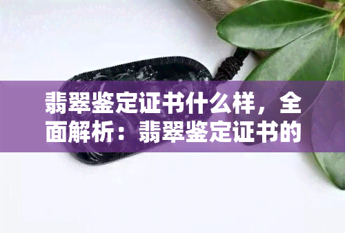 翡翠鉴定证书什么样，全面解析：翡翠鉴定证书的样式和内容