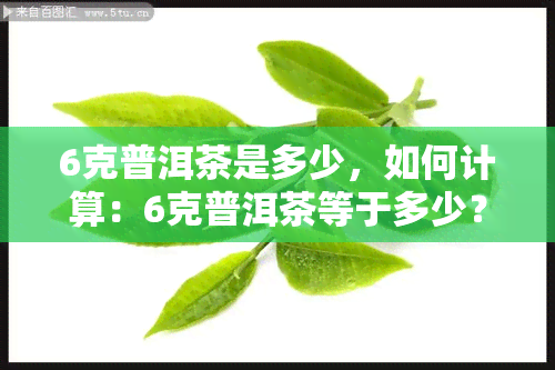 6克普洱茶是多少，如何计算：6克普洱茶等于多少？