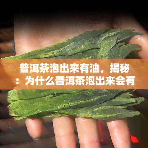 普洱茶泡出来有油，揭秘：为什么普洱茶泡出来会有油脂？