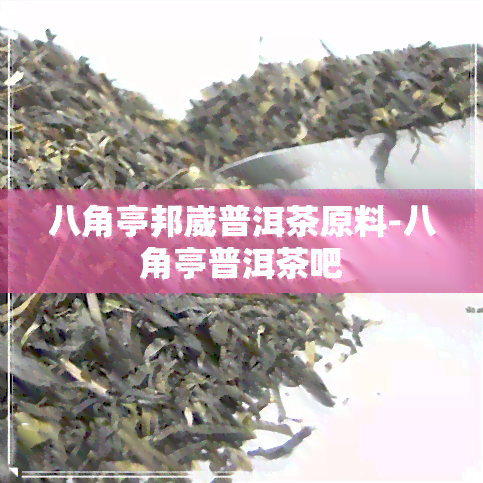 八角亭邦崴普洱茶原料-八角亭普洱茶吧