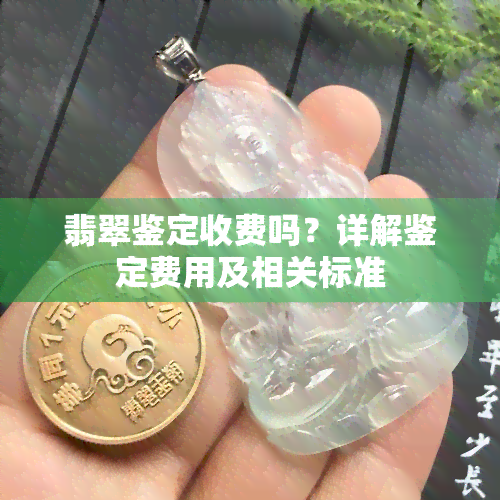 翡翠鉴定收费吗？详解鉴定费用及相关标准