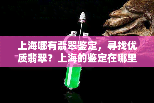 上海哪有翡翠鉴定，寻找优质翡翠？上海的鉴定在哪里？