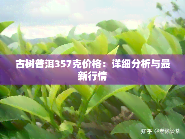 古树普洱357克价格：详细分析与最新行情