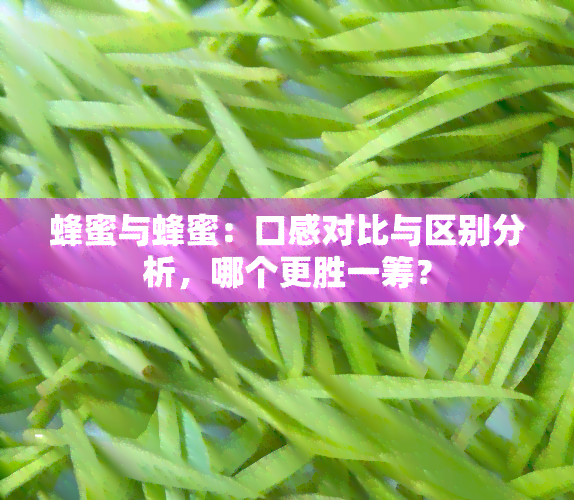 蜂蜜与蜂蜜：口感对比与区别分析，哪个更胜一筹？