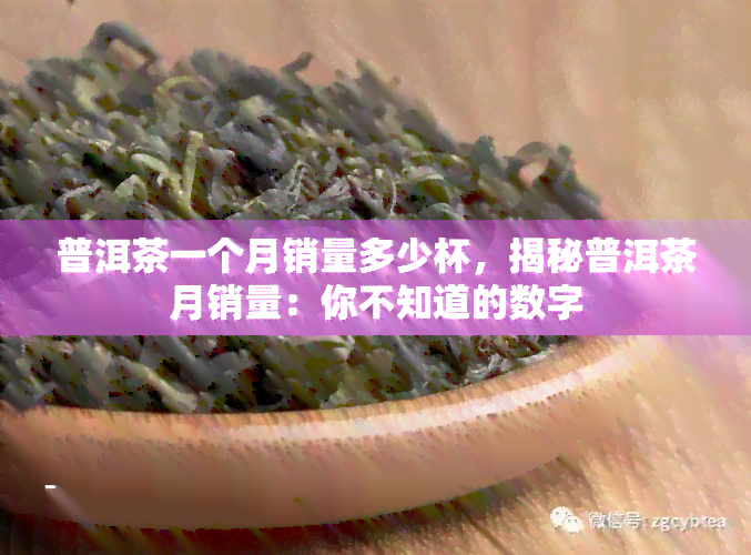 普洱茶一个月销量多少杯，揭秘普洱茶月销量：你不知道的数字