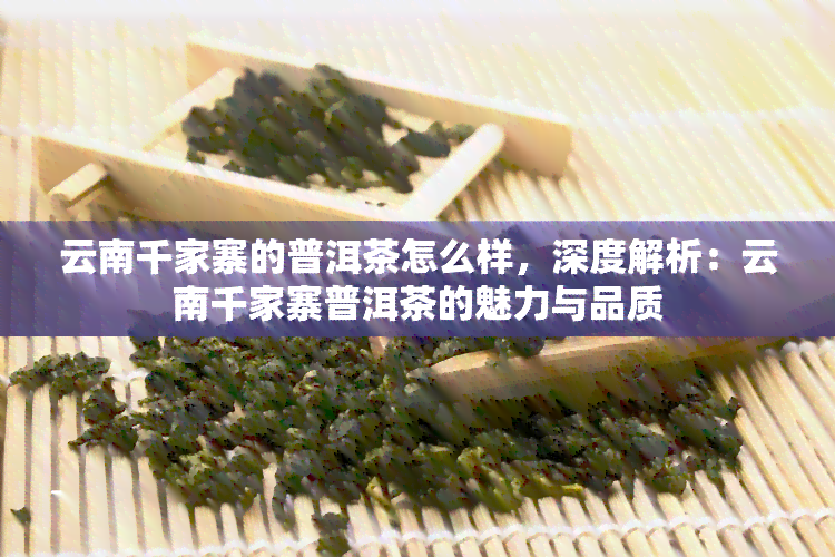 云南千家寨的普洱茶怎么样，深度解析：云南千家寨普洱茶的魅力与品质