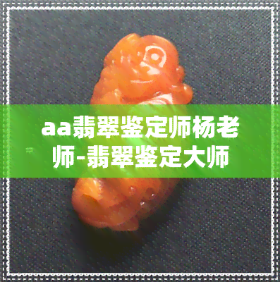 aa翡翠鉴定师杨老师-翡翠鉴定大师