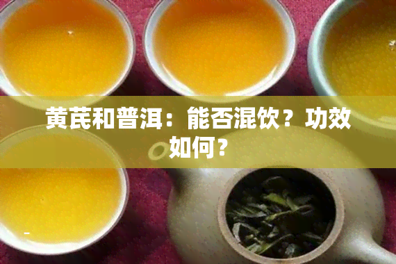 黄芪和普洱：能否混饮？功效如何？